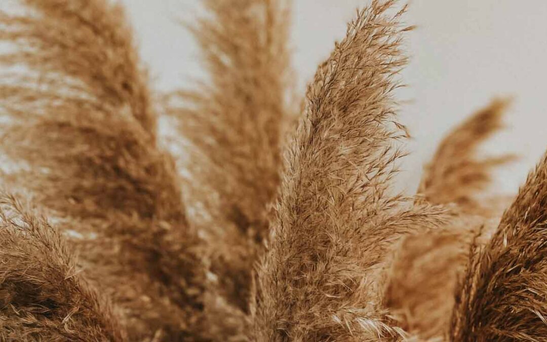 Bienvenue sur notre nouveau site internet !