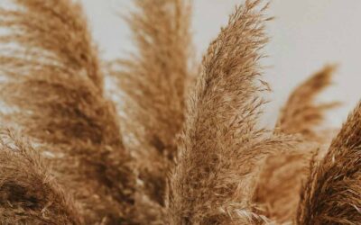 Bienvenue sur notre nouveau site internet !